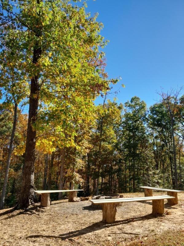 The Willow, Secluded And Cozy Country Cabin Ravenna Exterior photo